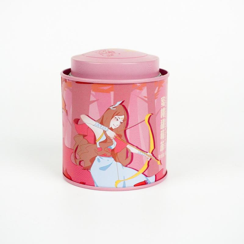 Food Storage Christmas Tin Box