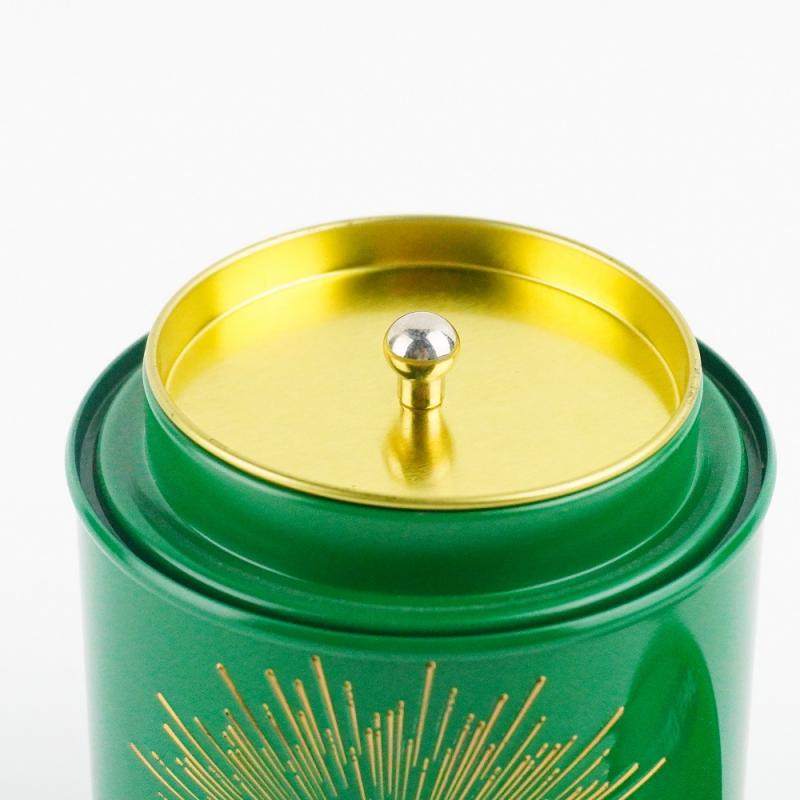 Green Double Lid Metal Storage Can